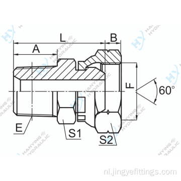 NPT Male/BSP Vrouw 60 Kegel